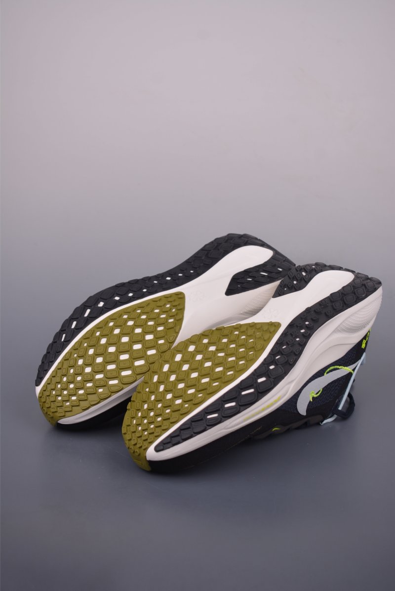Nike Air Zoom Pegasus 41 view
