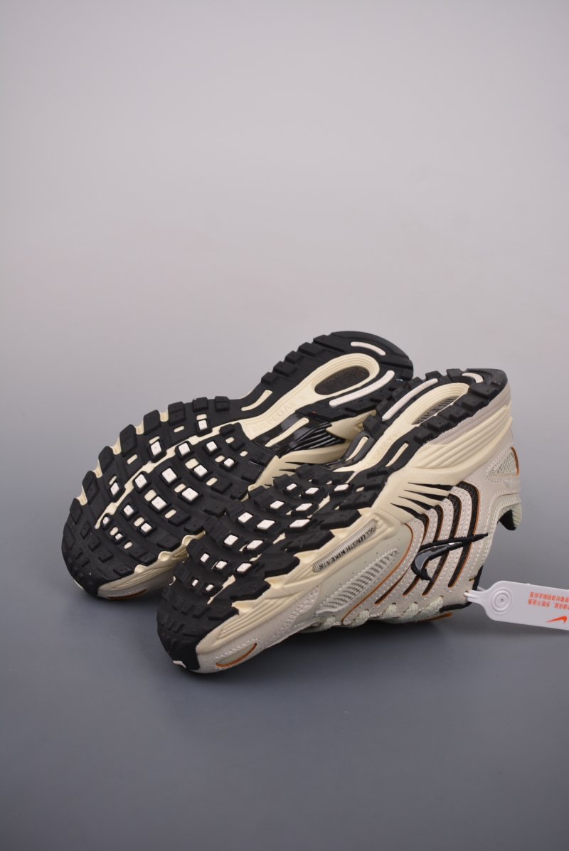 Nike Air Pegasus 2K5 view