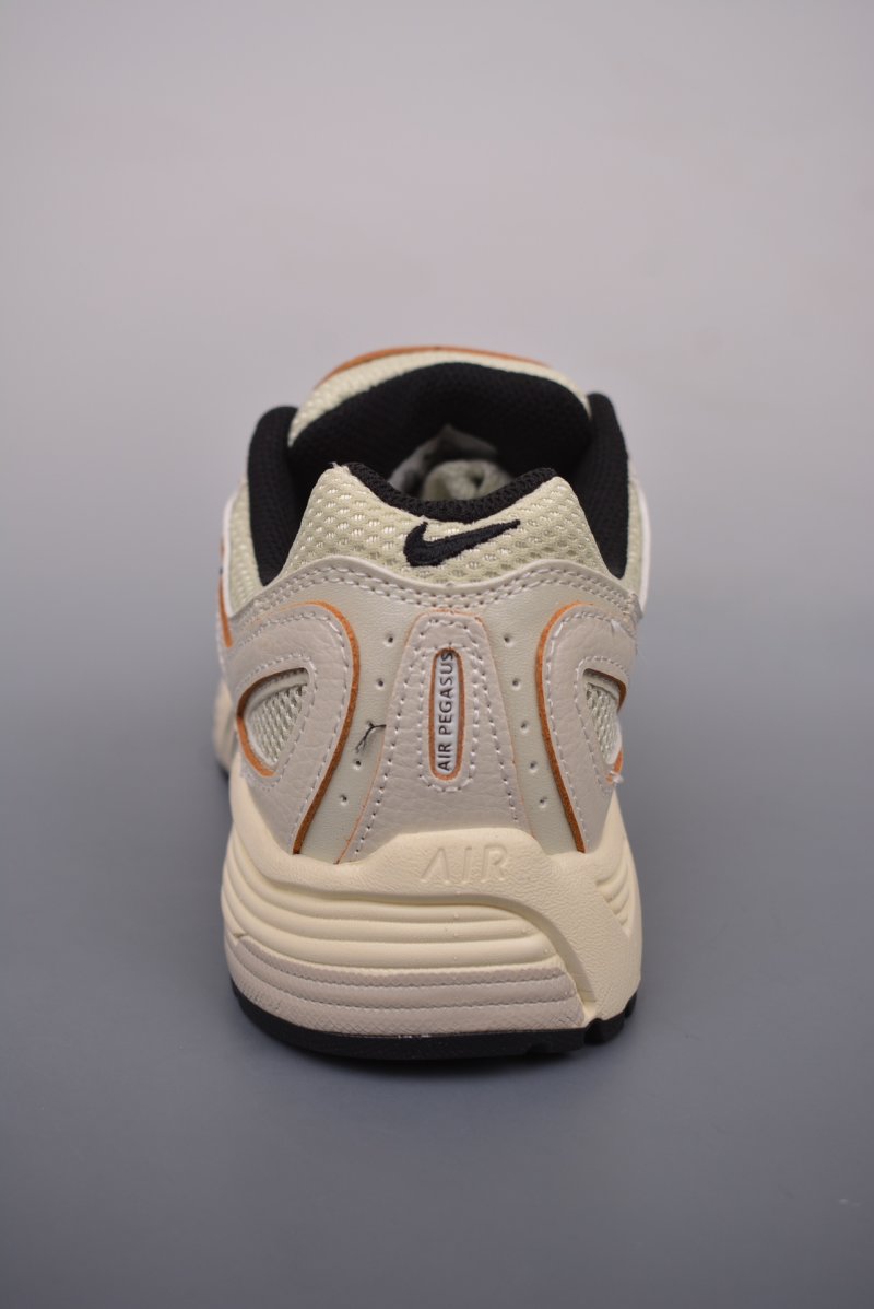 Nike Air Pegasus 2K5 view