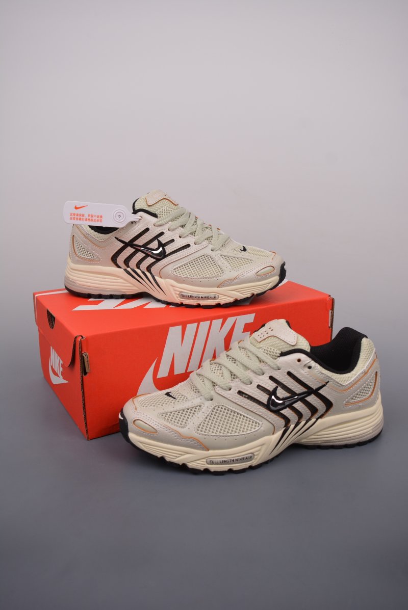 Nike Air Pegasus 2K5 view