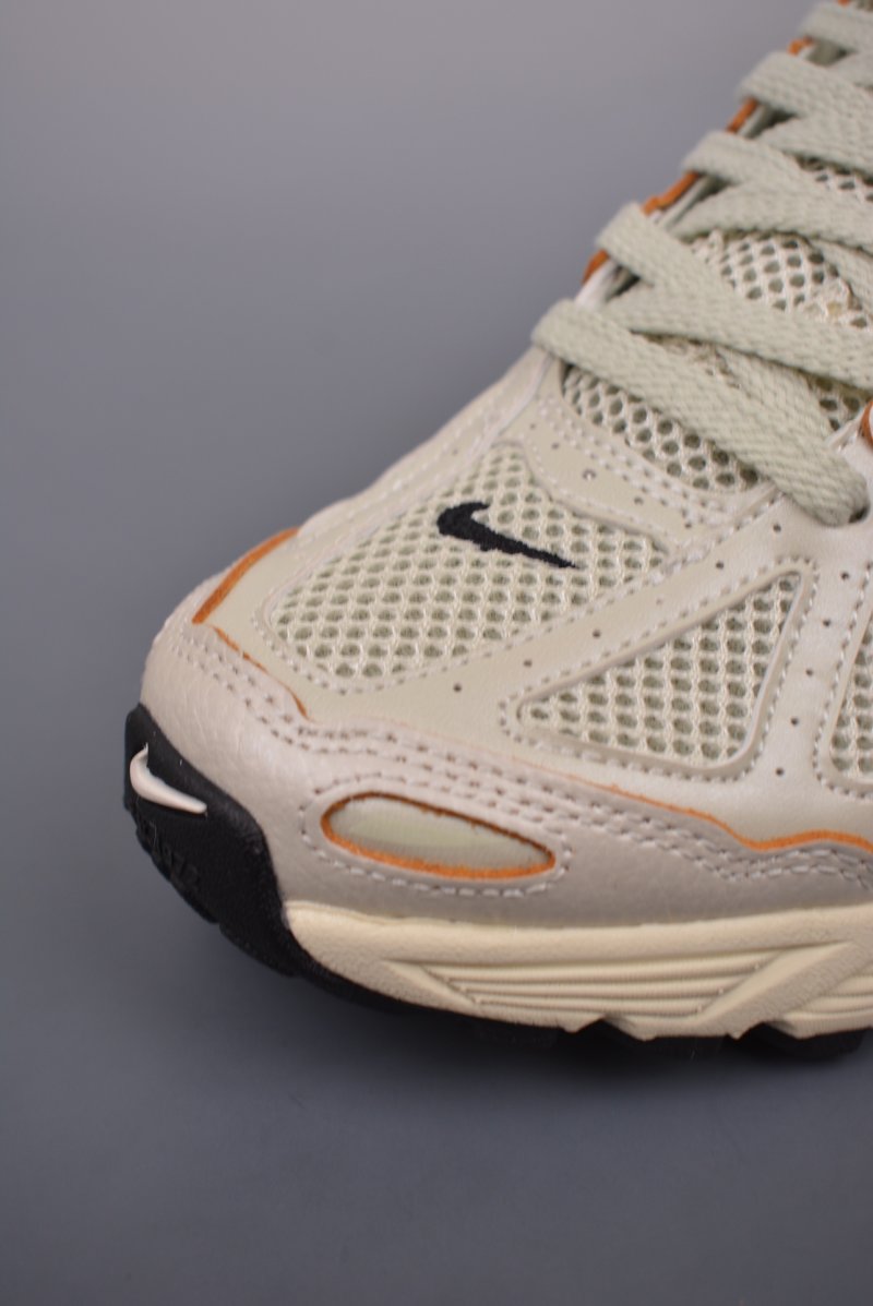 Nike Air Pegasus 2K5 view