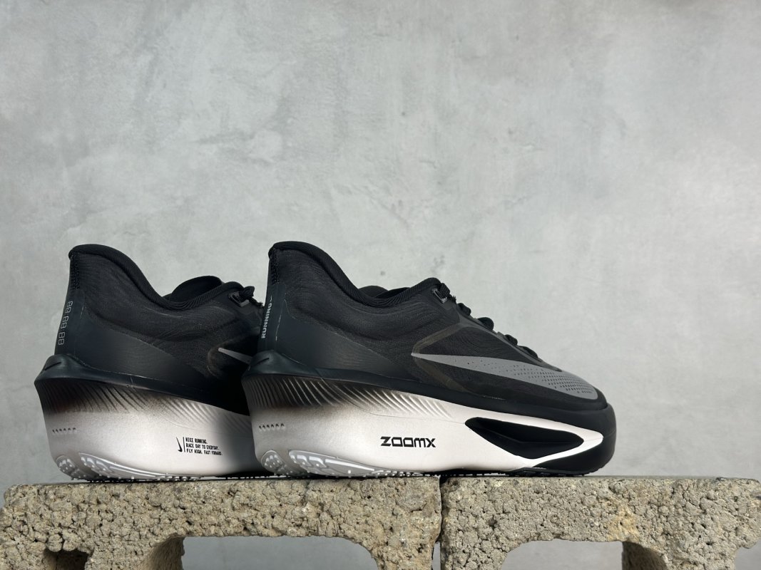 Nike Air Zoom Rival Fly 6 view
