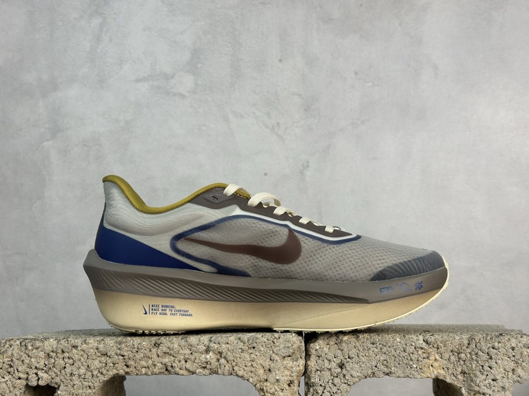 Nike Air Zoom Rival Fly 6 view