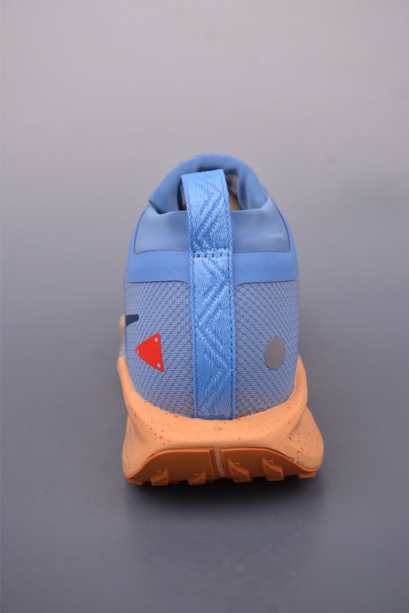 Nike ReactX Pegasus Trail 5 GTX Next Nature view
