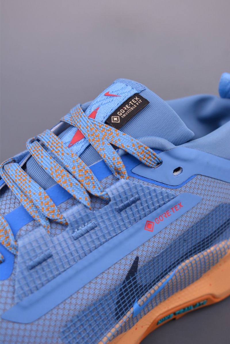Nike ReactX Pegasus Trail 5 GTX Next Nature view