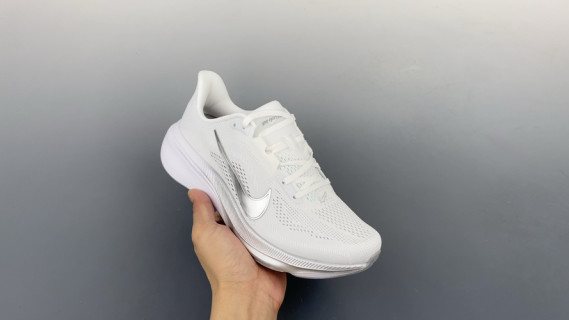 Nike Zoom Pegasus 42 view 1