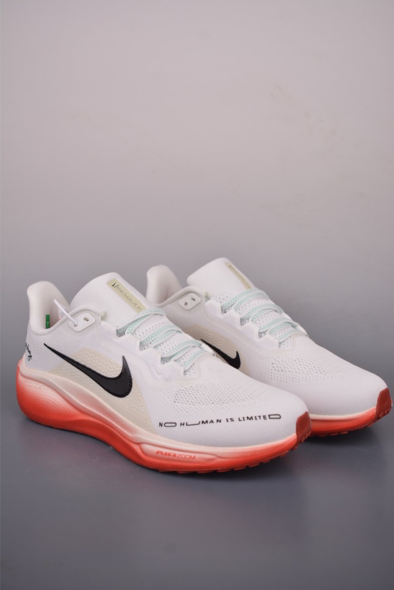 Nike Zoom Pegasus 41 view