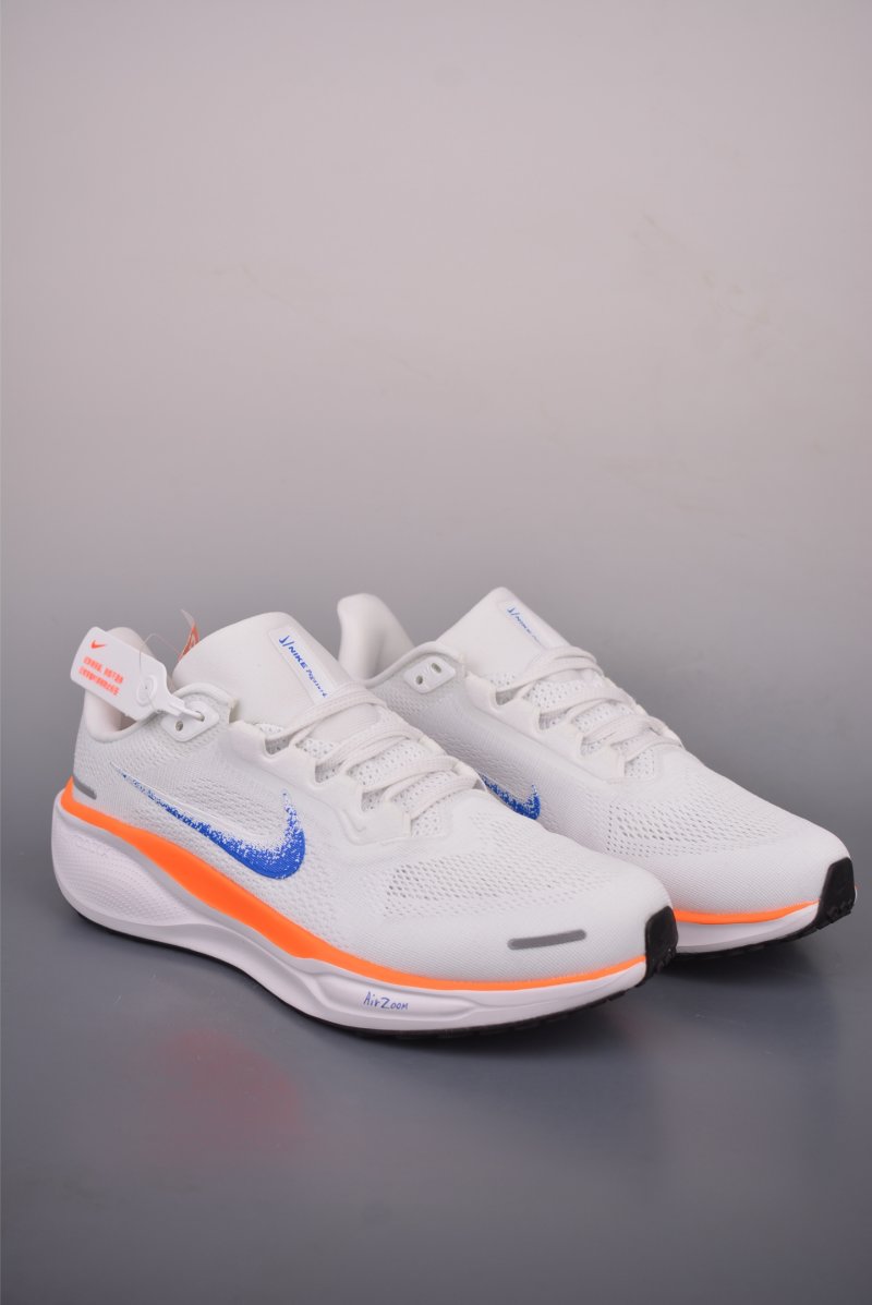 Nike Zoom Pegasus 41 view