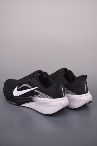 Nike Zoom Pegasus 42 view 2