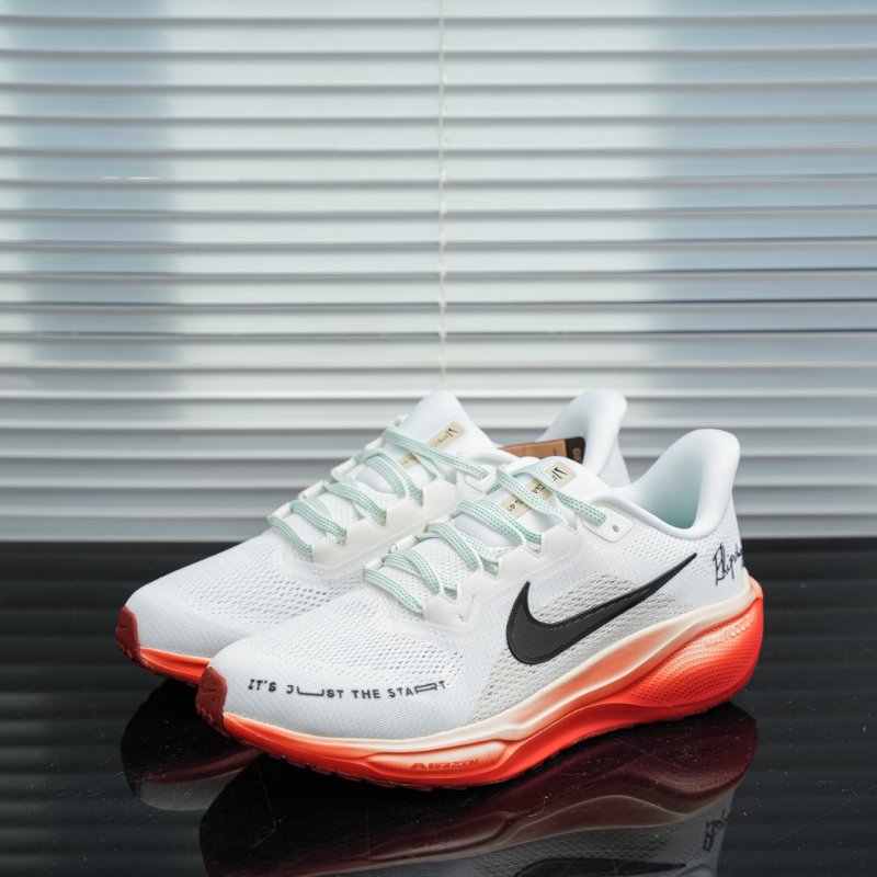 Nike Air Zoom Pegasus 41