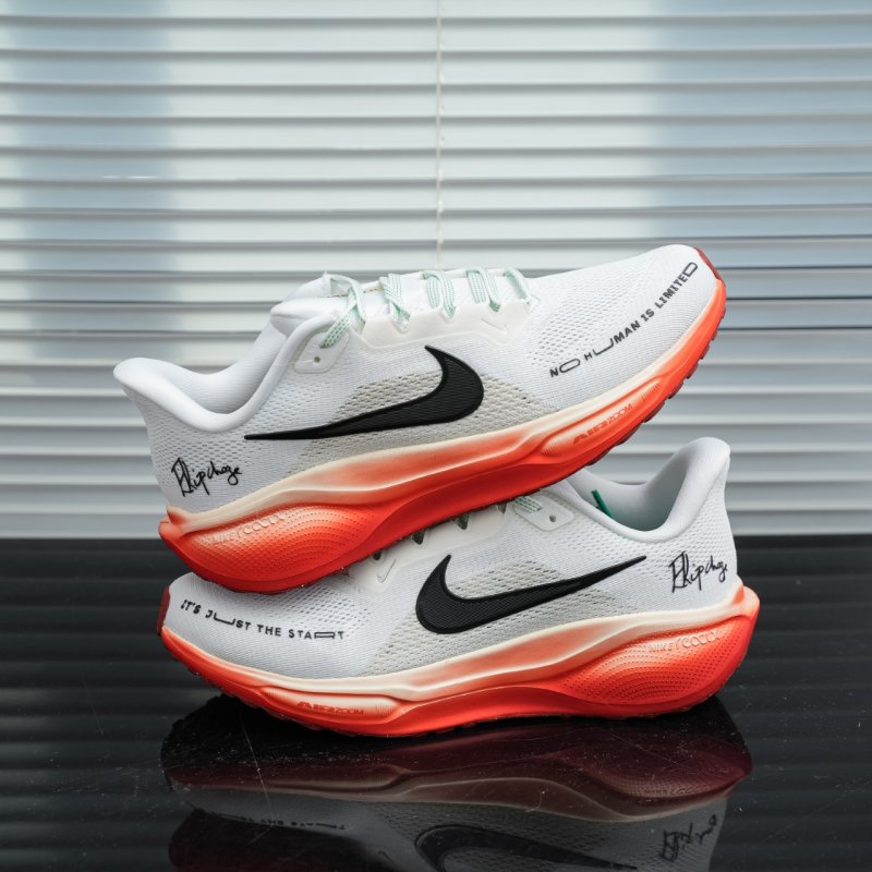 Nike Air Zoom Pegasus 41 view