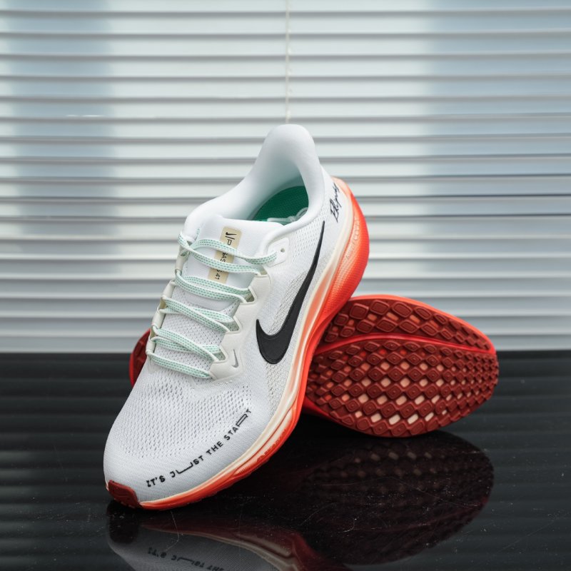 Nike Air Zoom Pegasus 41 view
