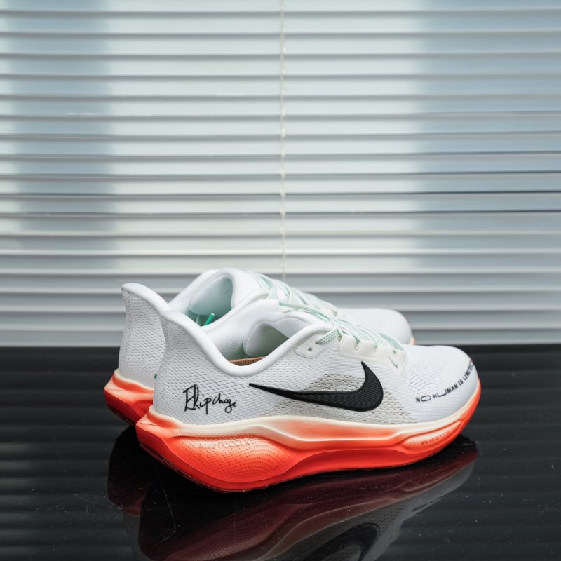 Nike Air Zoom Pegasus 41 view