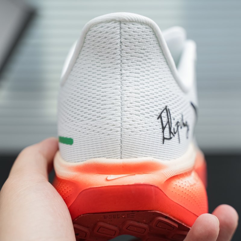 Nike Air Zoom Pegasus 41 view