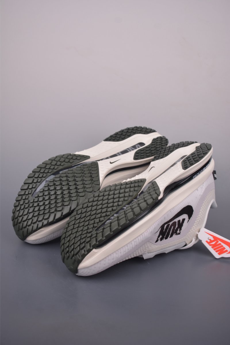 Nike Pegasus Premium view