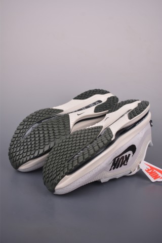 Nike Pegasus Premium view 3