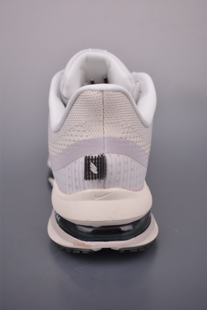 Nike Pegasus Premium view