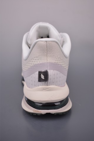 Nike Pegasus Premium view 4