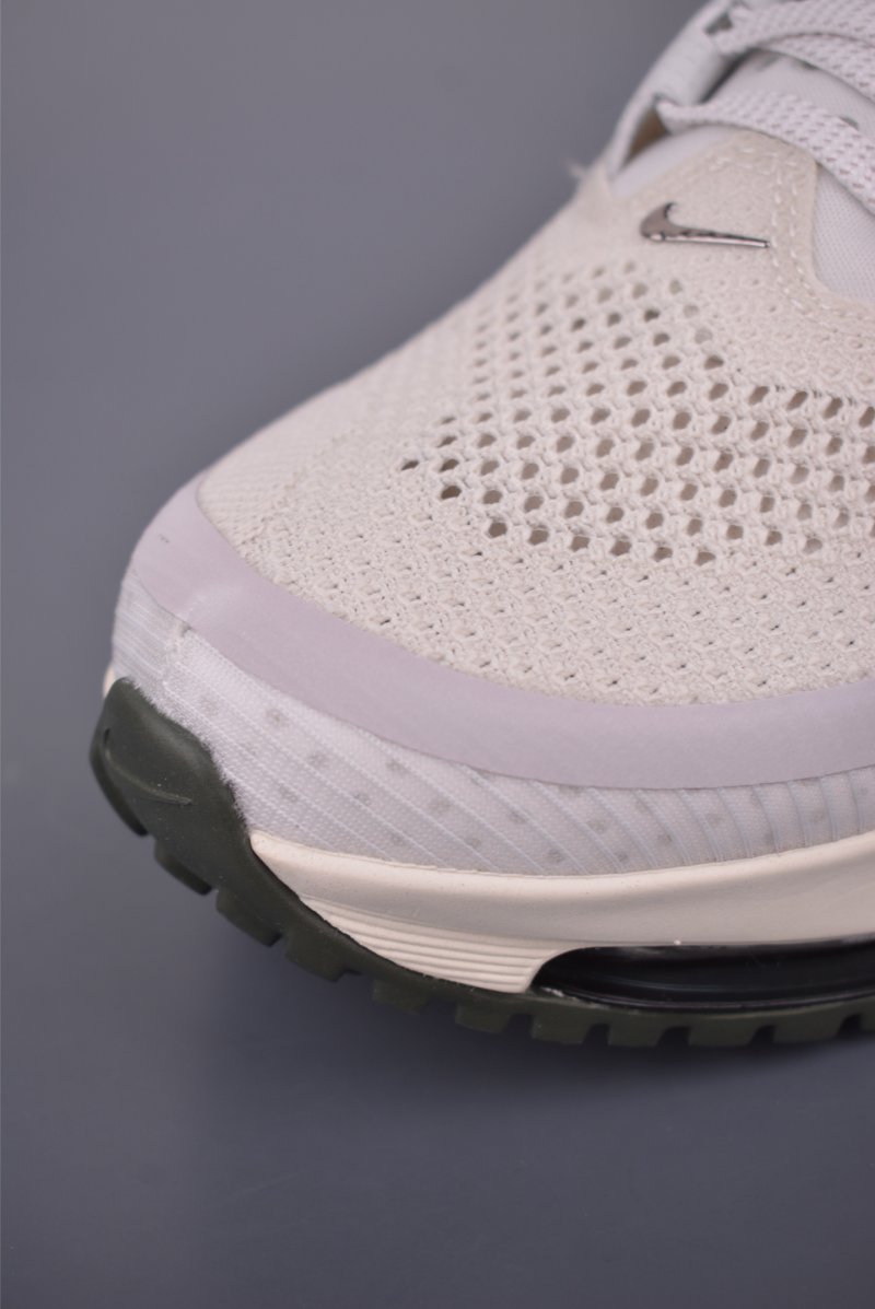 Nike Pegasus Premium view