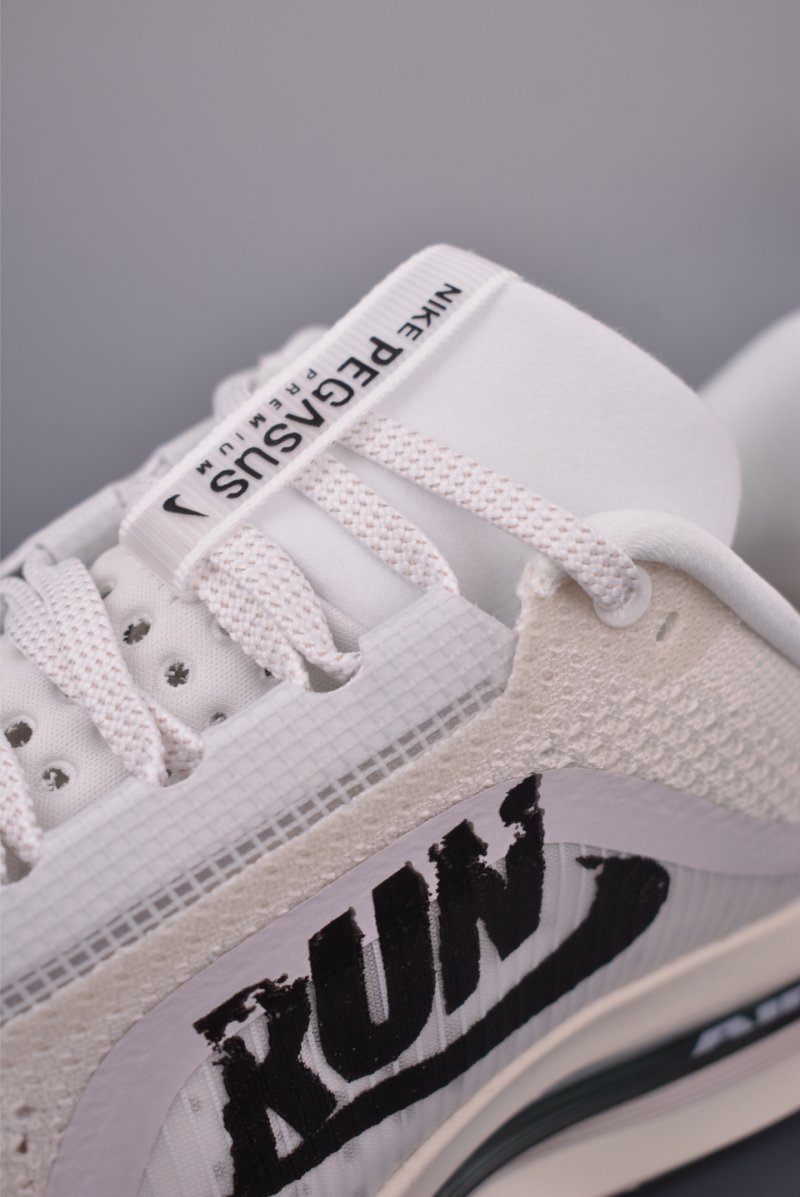 Nike Pegasus Premium view