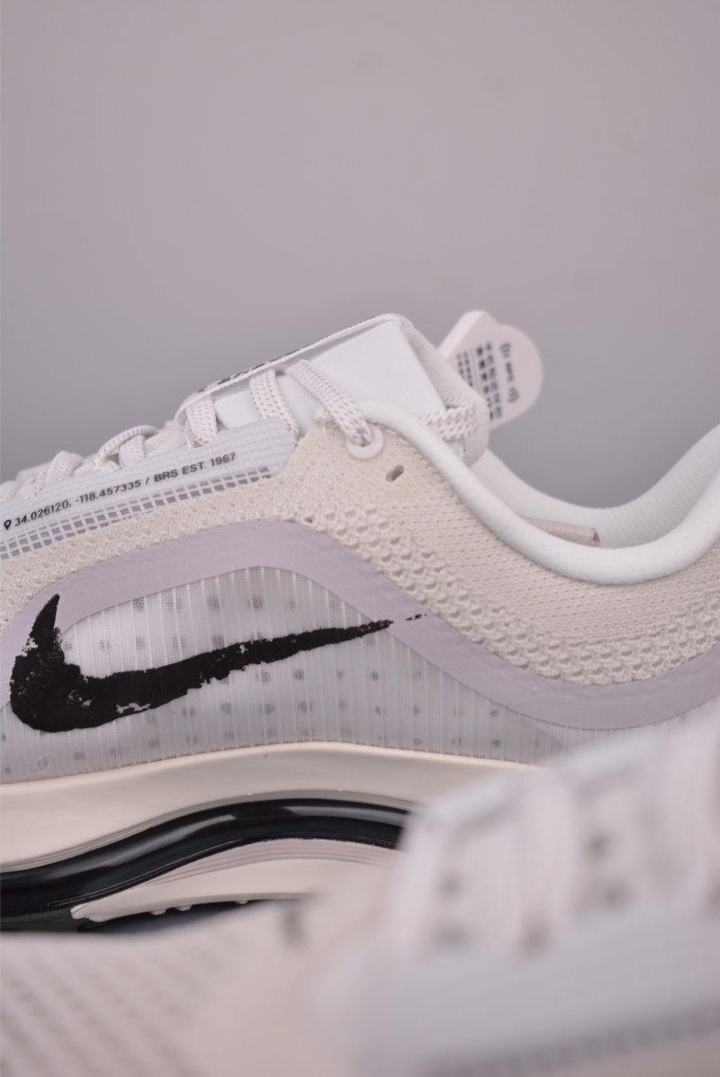 Nike Pegasus Premium view