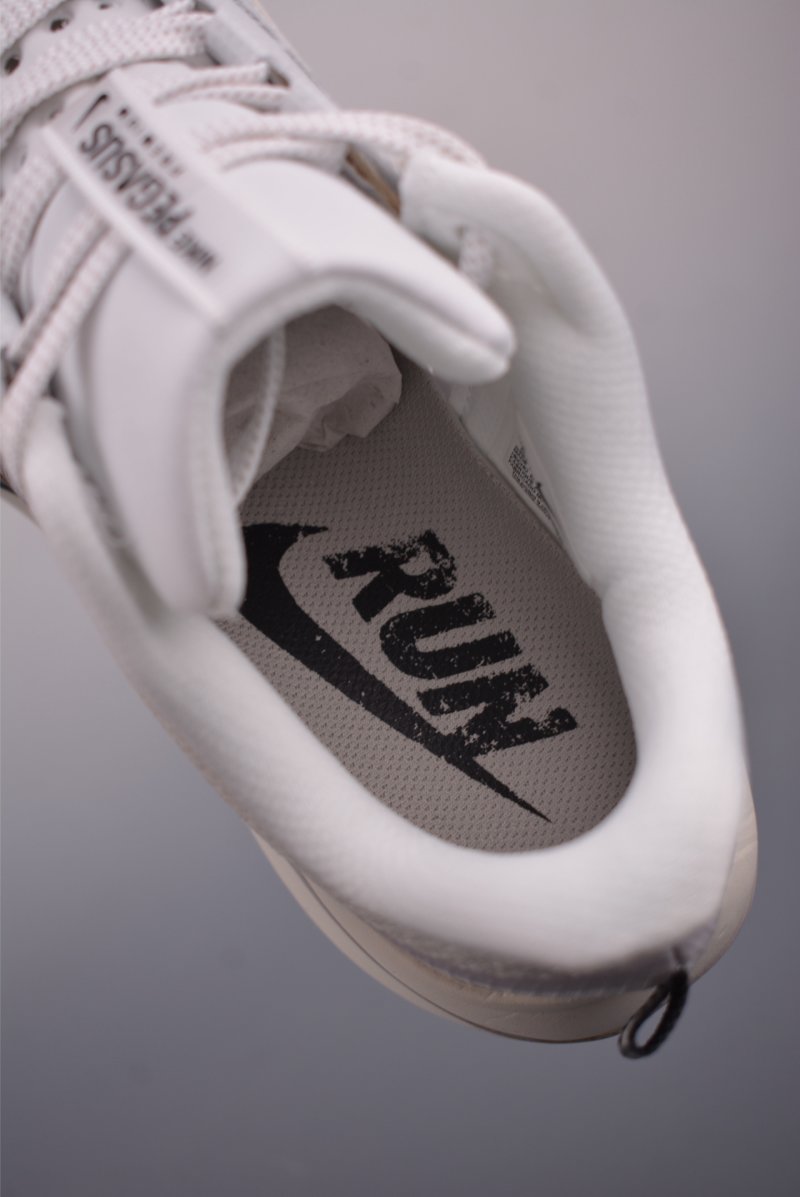 Nike Pegasus Premium view