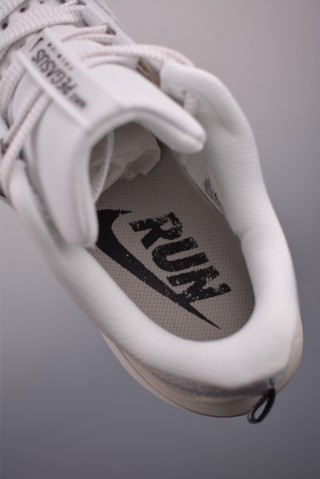 Nike Pegasus Premium view 9