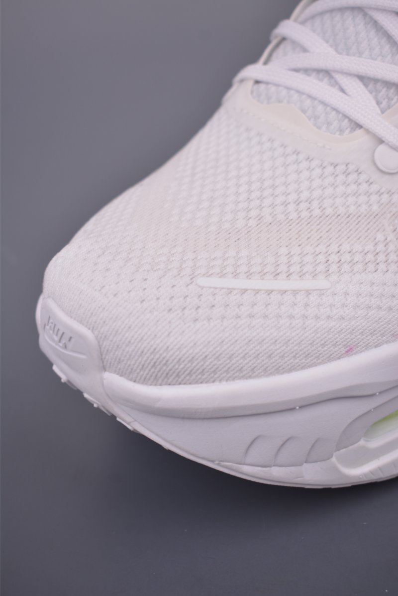 Nike Vomero Premium Air view