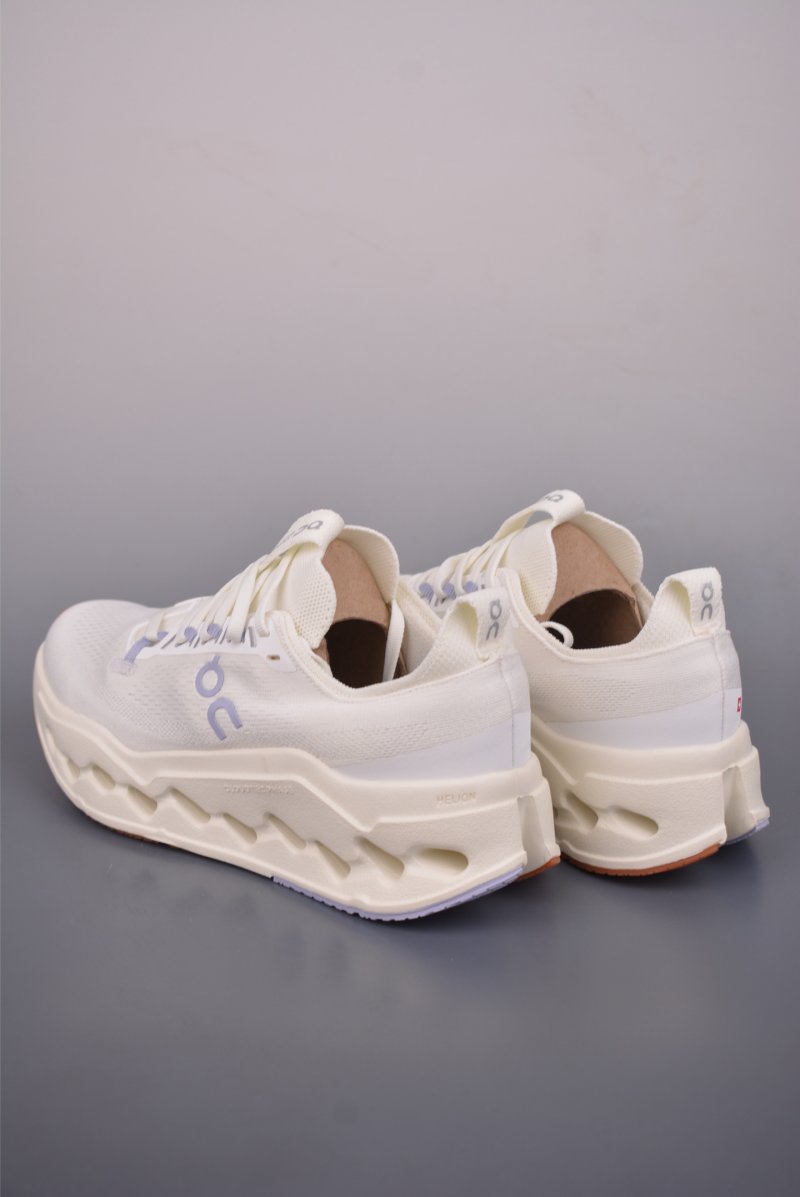 On Cloudsurfei Max view