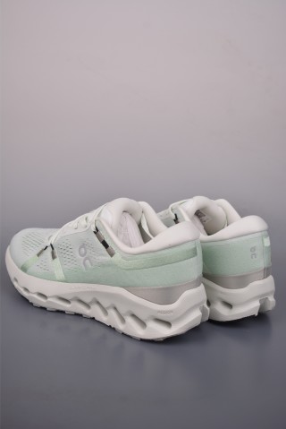 On Cloudsurfer view 29