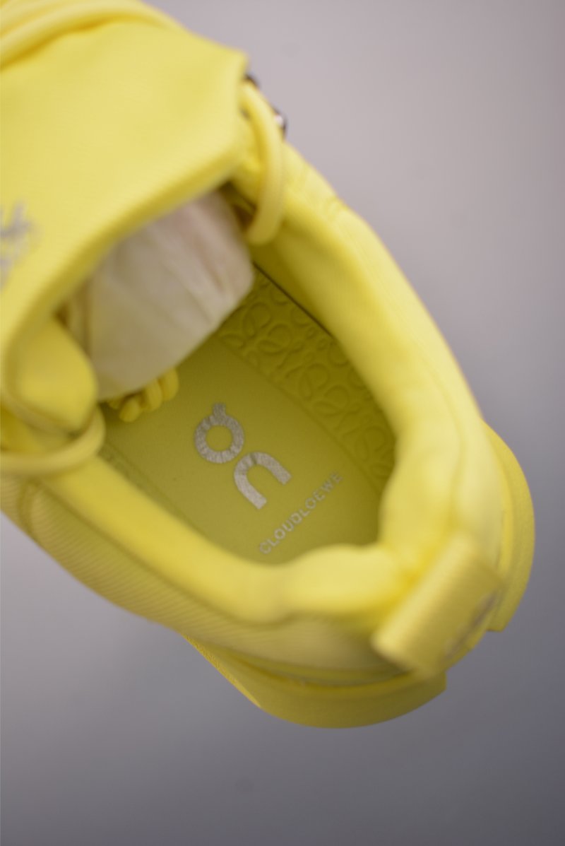 On Cloudsurfer Loewe view