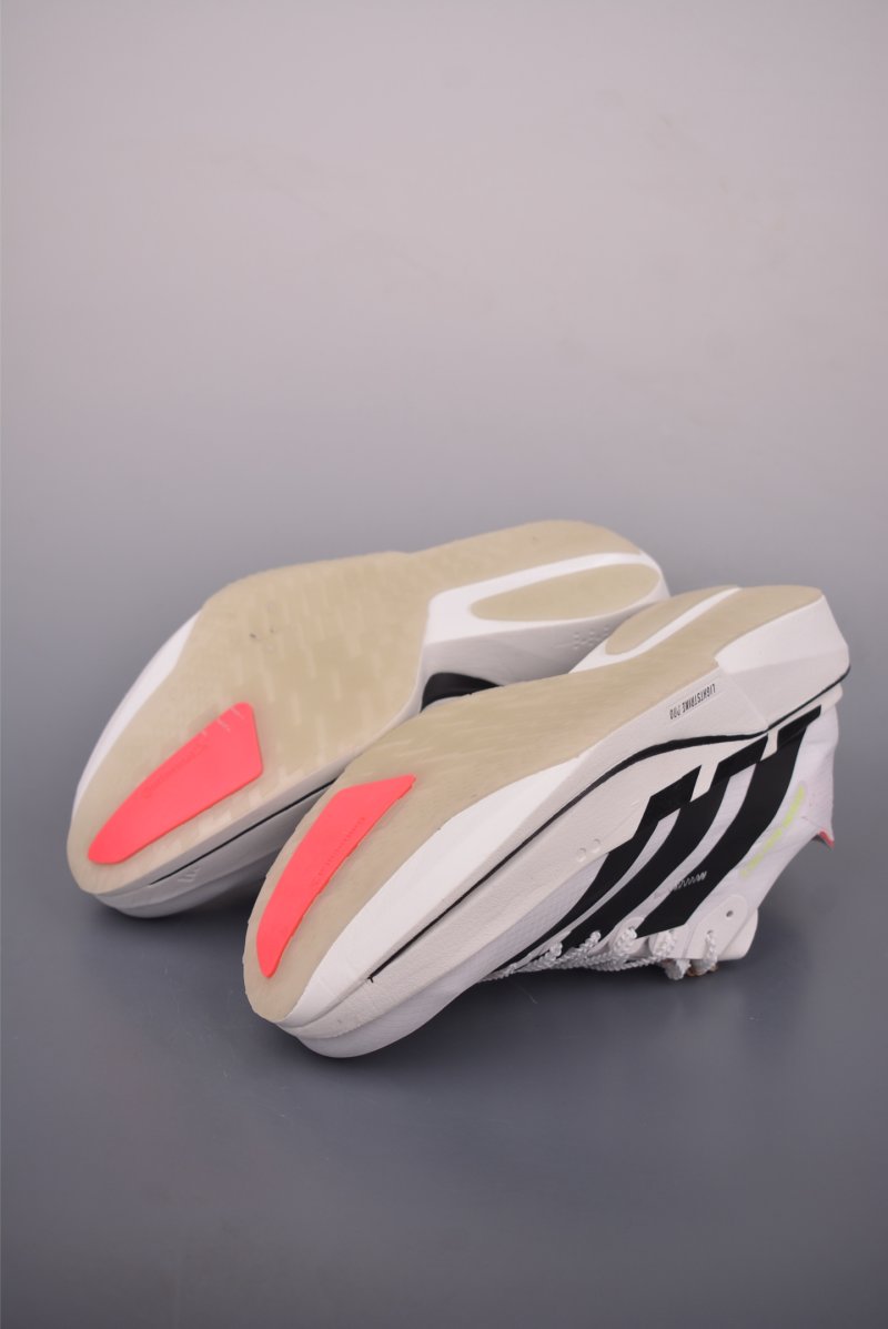 Adidas Adizero Adios Pro Evo view