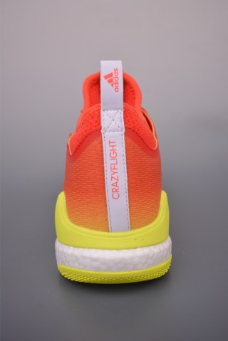 Adidas Crazyflight Mid view 13