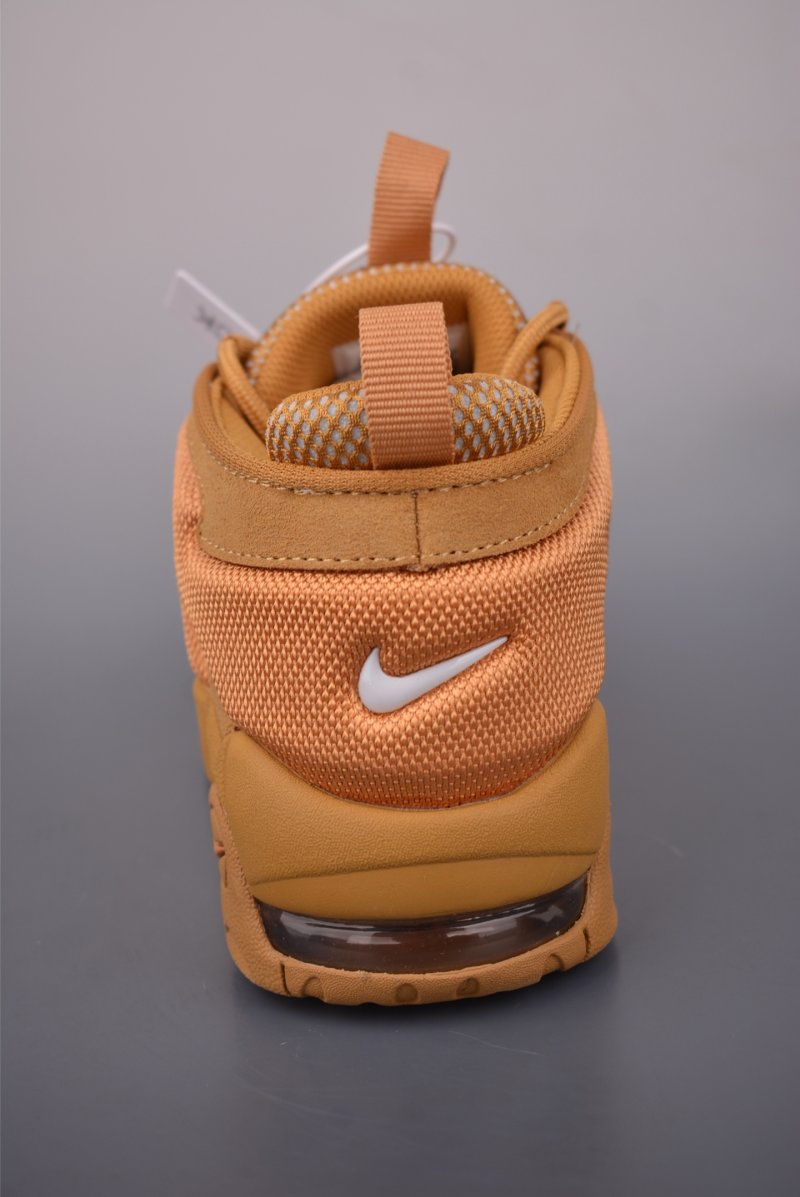 Air More Uptempo view