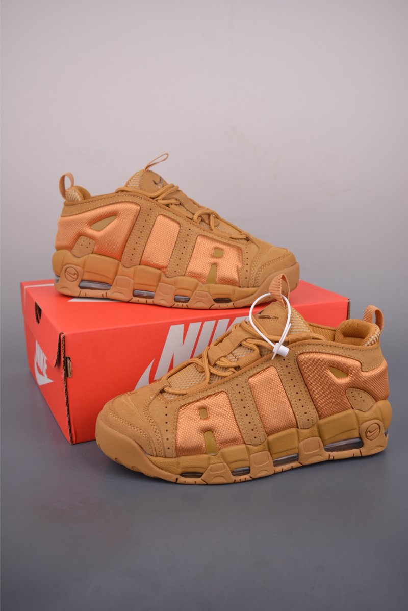 Air More Uptempo view