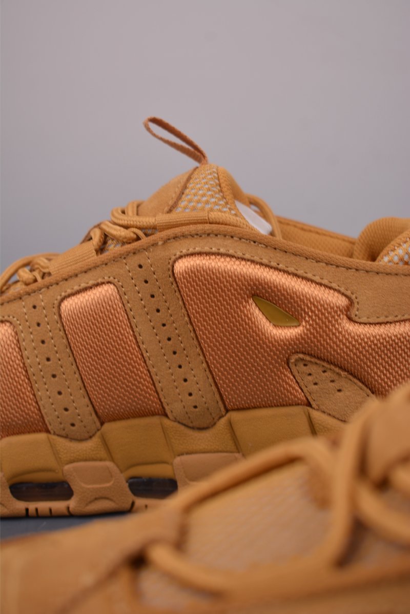Air More Uptempo view