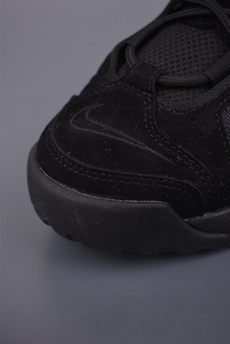 Air More Uptempo view