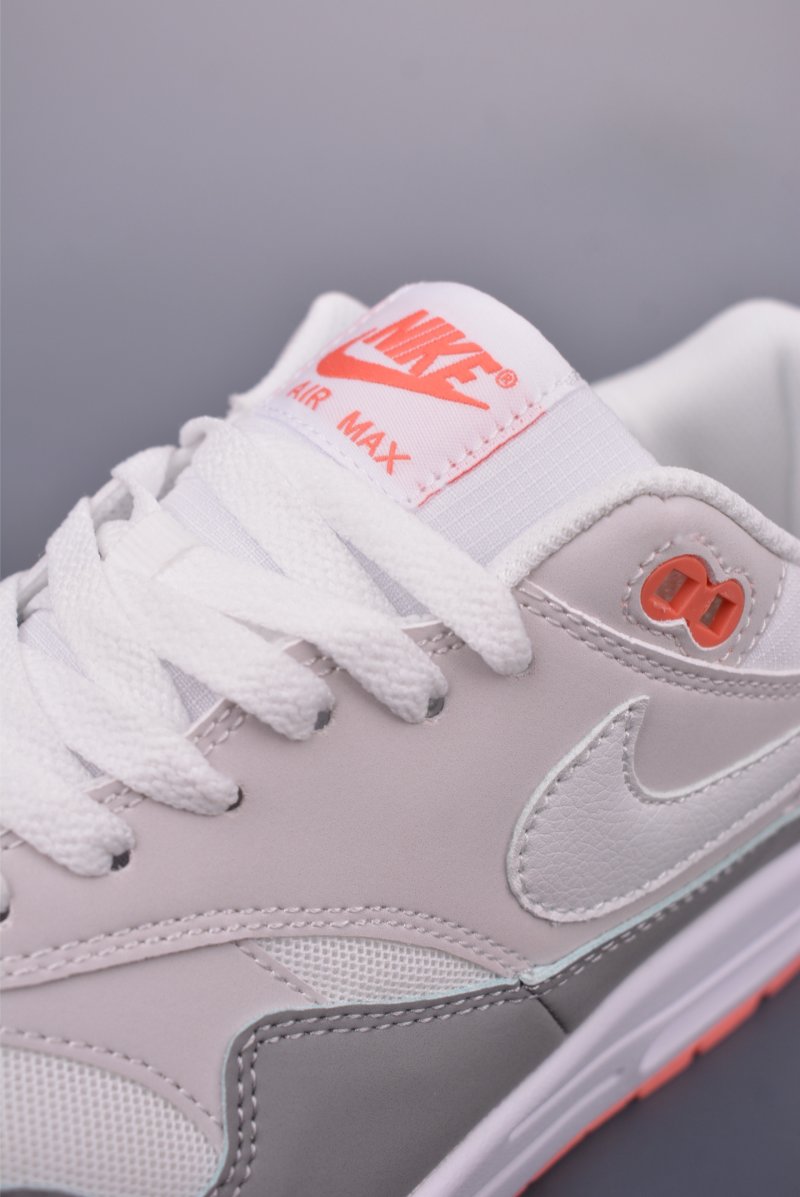 Nike Air Max 1 view