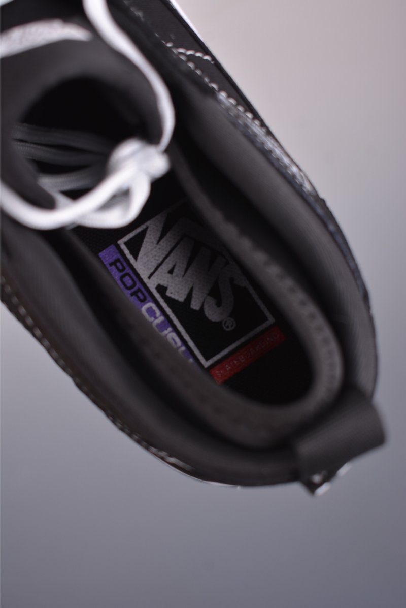 Vans Skate Safe Low 'Black / White' view