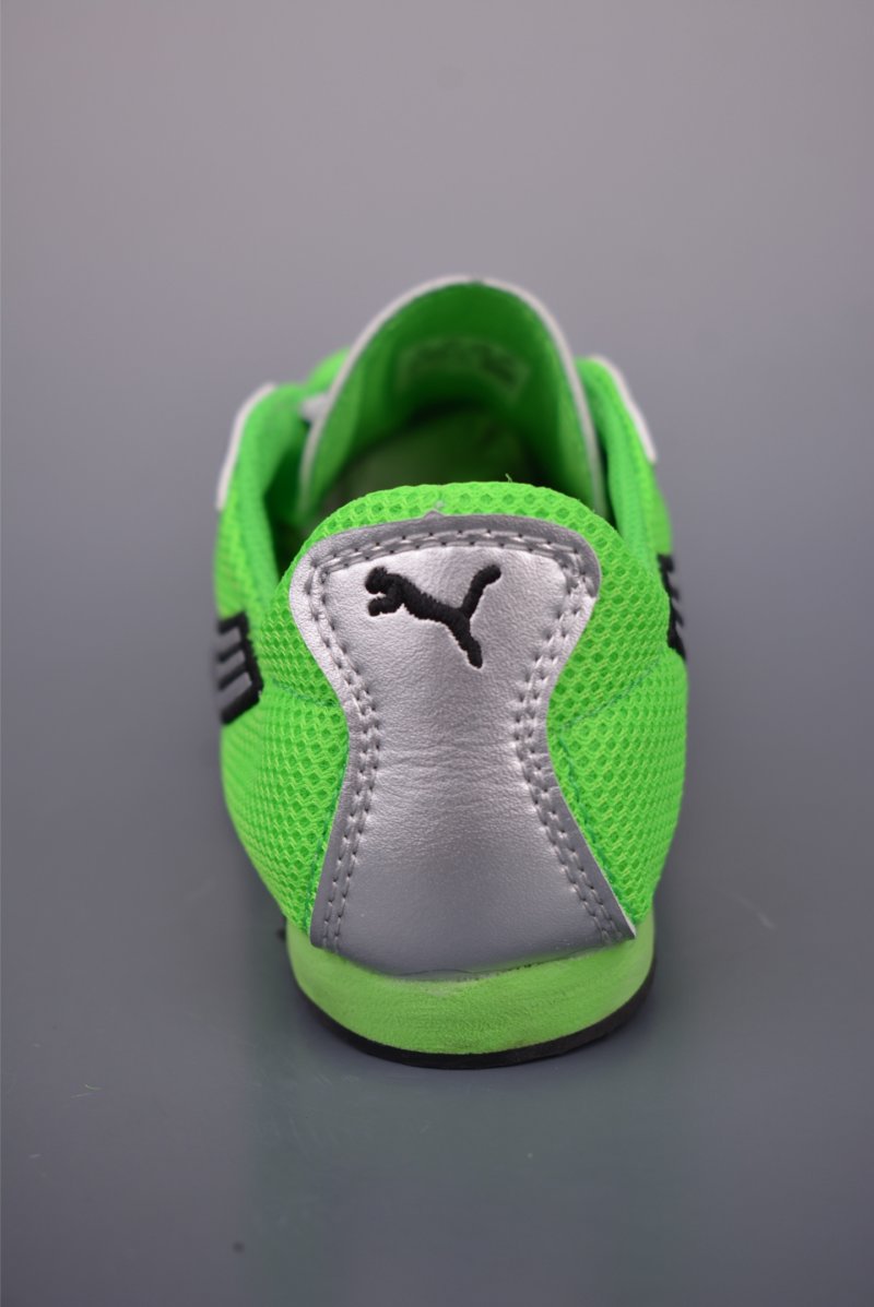 Puma H-Street view