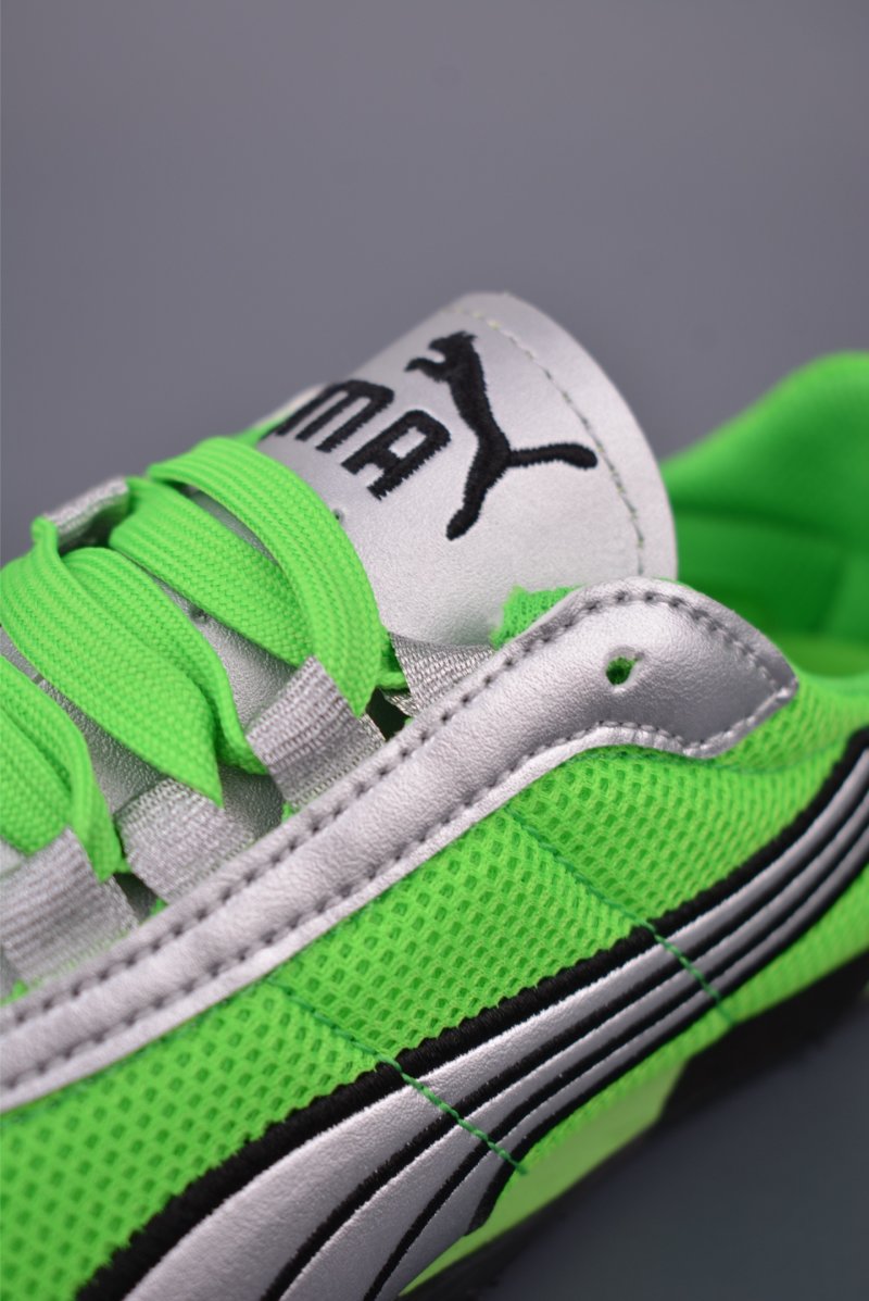 Puma H-Street view