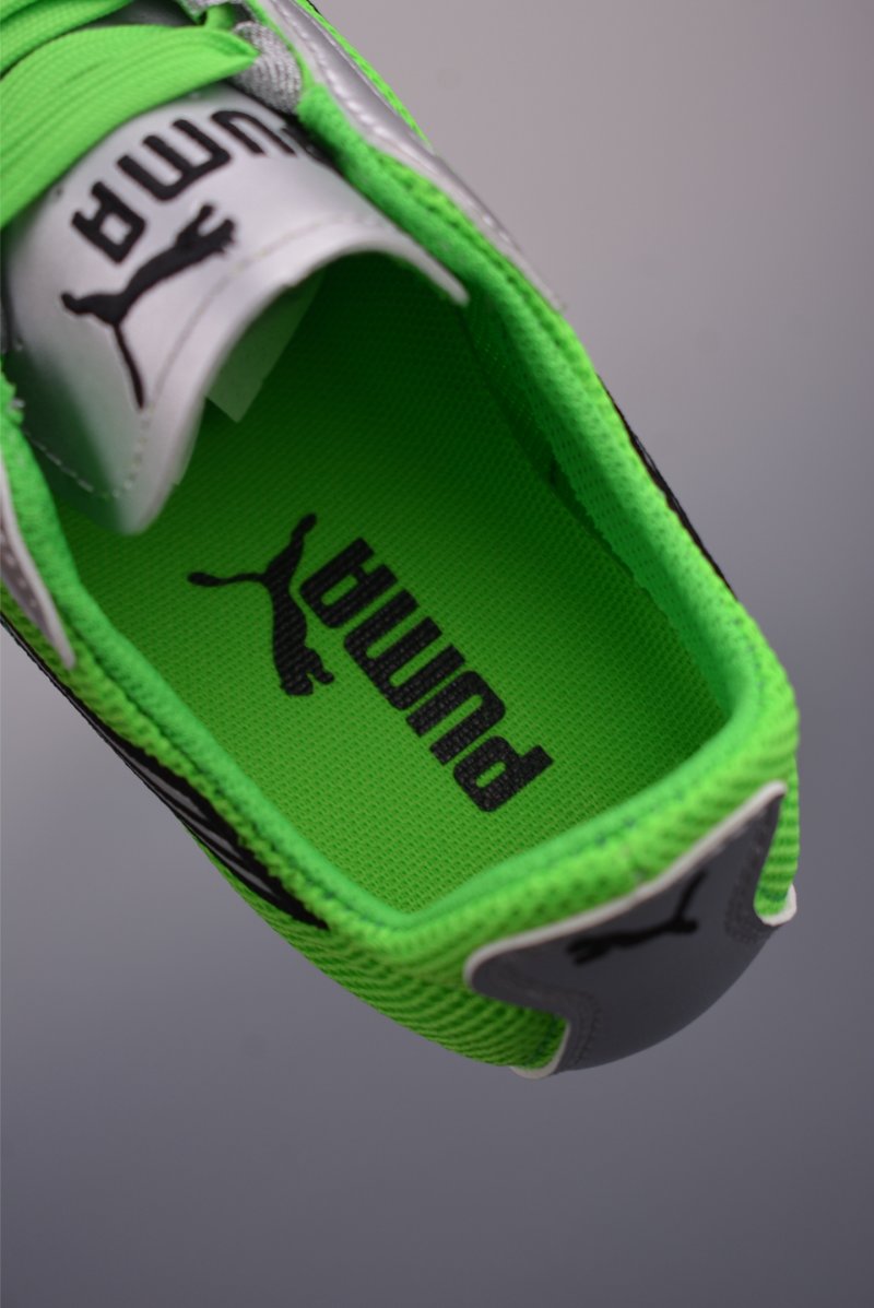 Puma H-Street view