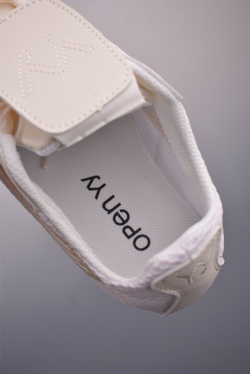 Puma H-Street view