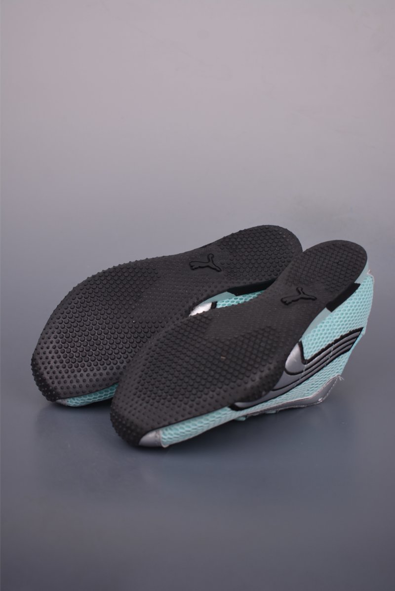 Puma H-Street view