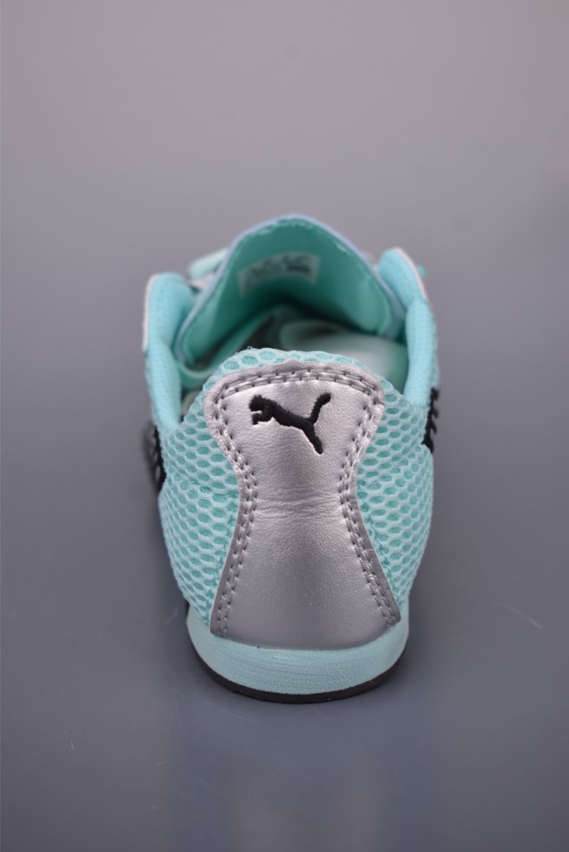 Puma H-Street view