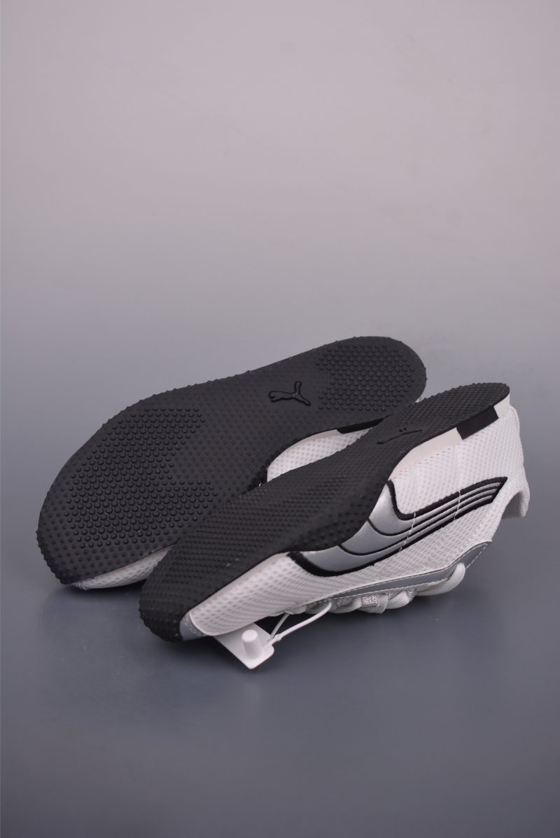 Puma H-Street view