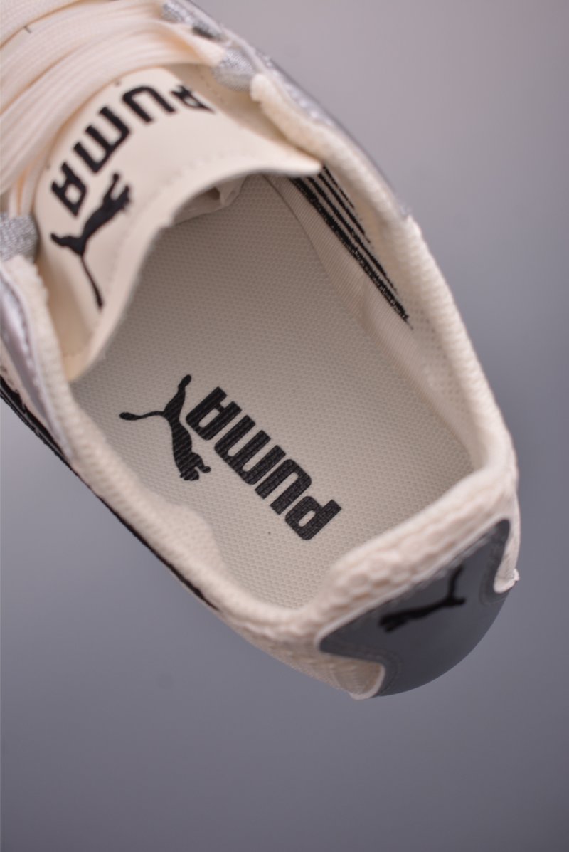 Puma H-Street view