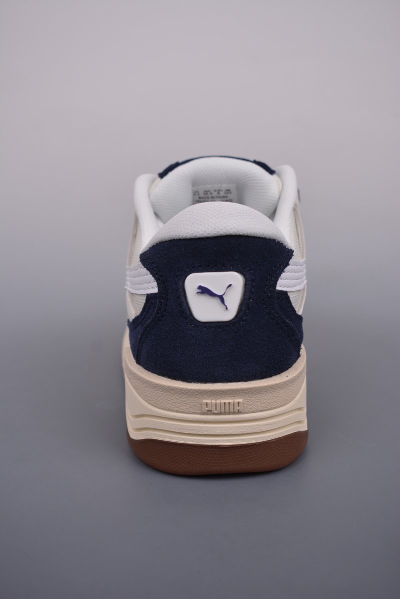 Puma Night Rider view
