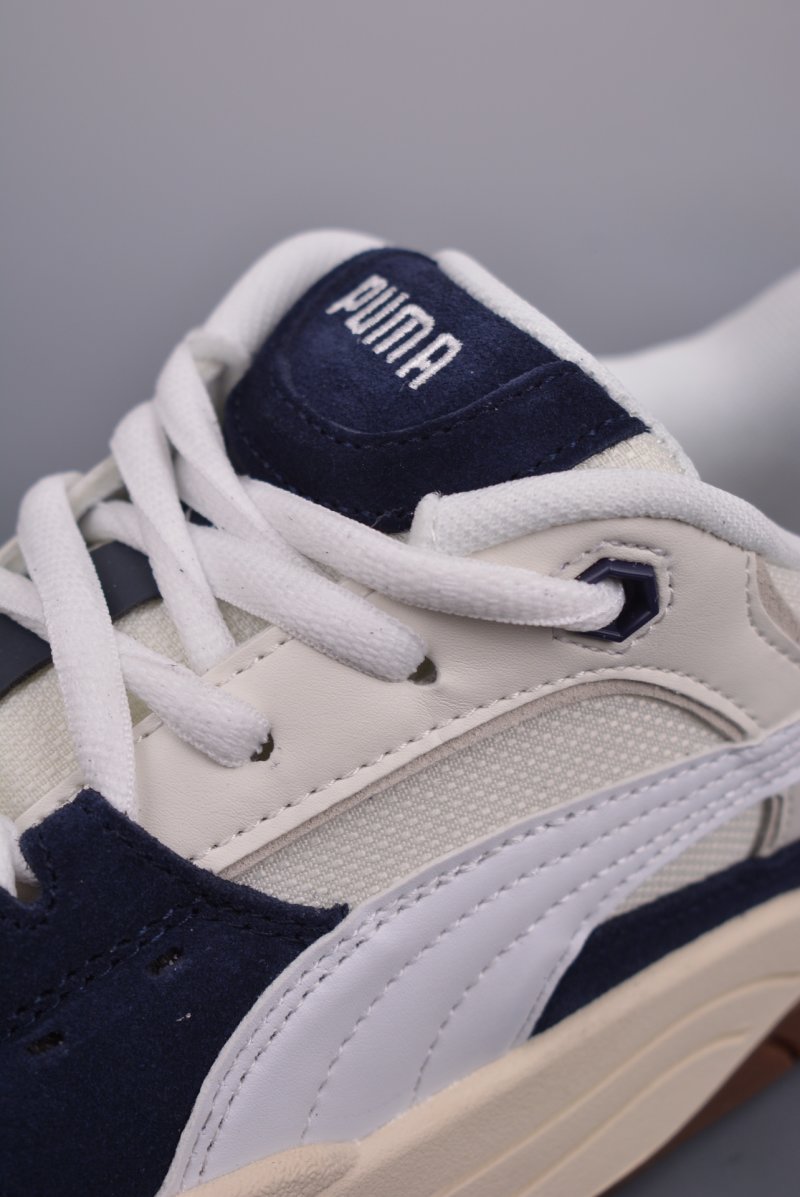 Puma Night Rider view