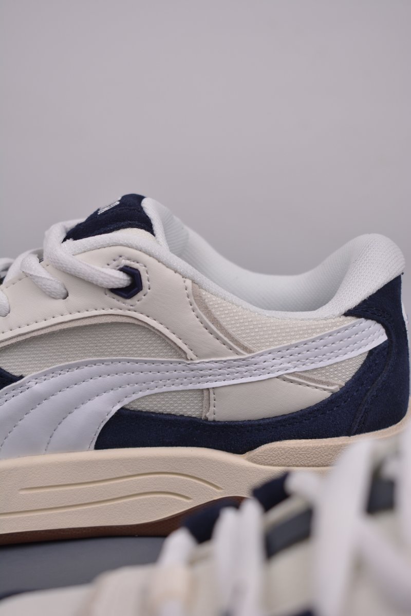 Puma Night Rider view